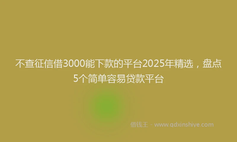 不查征信借3000能下款的平台2025年精选，盘点5个简单容易贷款平台