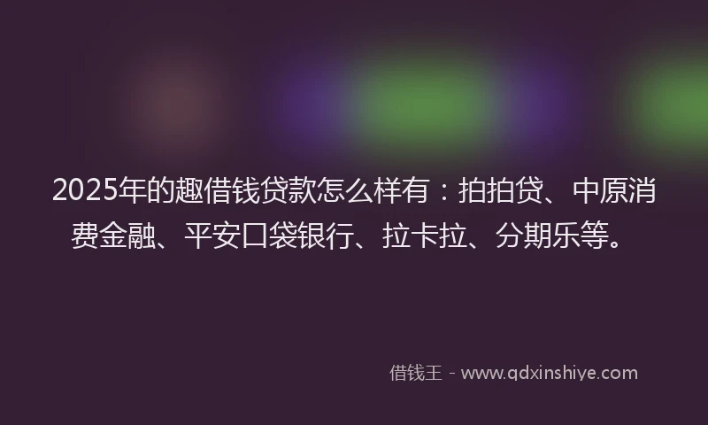2025年的趣借钱贷款怎么样有：拍拍贷、中原消费金融、平安口袋银行、拉卡拉、分期乐等。