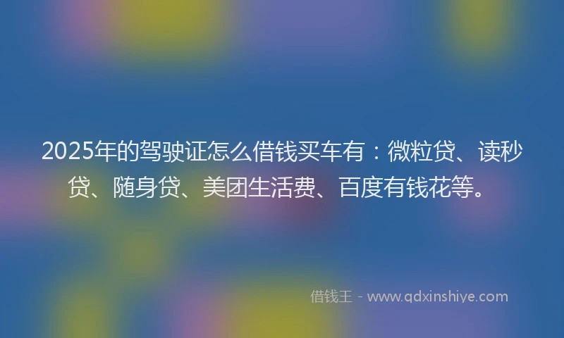 2025年的驾驶证怎么借钱买车有：微粒贷、读秒贷、随身贷、美团生活费、百度有钱花等。