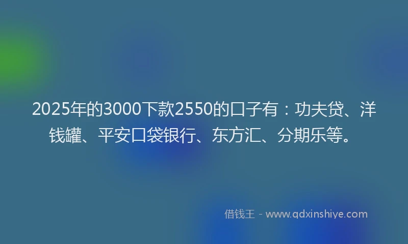 2025年的3000下款2550的口子有：功夫贷、洋钱罐、平安口袋银行、东方汇、分期乐等。