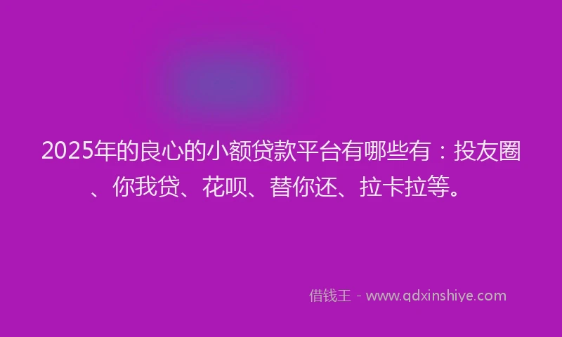2025年的良心的小额贷款平台有哪些有：投友圈、你我贷、花呗、替你还、拉卡拉等。