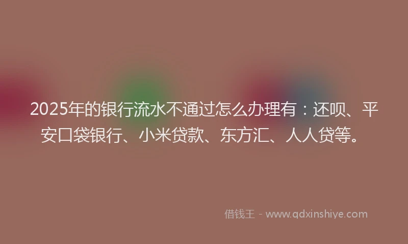 2025年的银行流水不通过怎么办理有：还呗、平安口袋银行、小米贷款、东方汇、人人贷等。