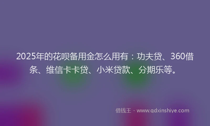 2025年的花呗备用金怎么用有：功夫贷、360借条、维信卡卡贷、小米贷款、分期乐等。