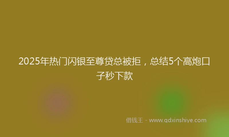 2025年热门闪银至尊贷总被拒，总结5个高炮口子秒下款