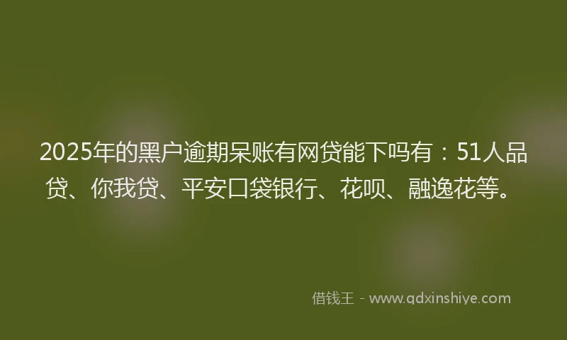 2025年的黑户逾期呆账有网贷能下吗有：51人品贷、你我贷、平安口袋银行、花呗、融逸花等。