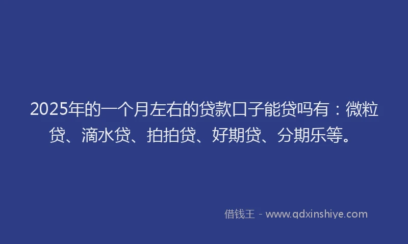 2025年的一个月左右的贷款口子能贷吗有：微粒贷、滴水贷、拍拍贷、好期贷、分期乐等。