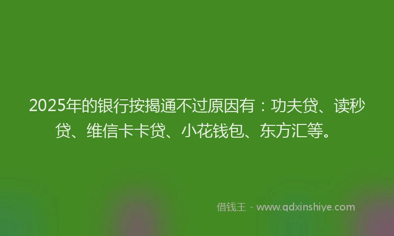 2025年的银行按揭通不过原因有：功夫贷、读秒贷、维信卡卡贷、小花钱包、东方汇等。