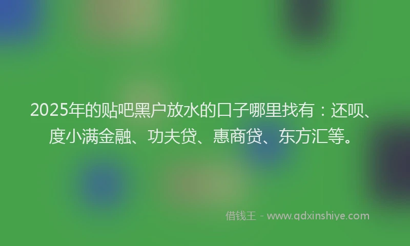 2025年的贴吧黑户放水的口子哪里找有：还呗、度小满金融、功夫贷、惠商贷、东方汇等。