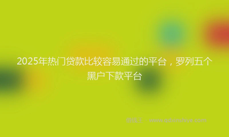 2025年热门贷款比较容易通过的平台，罗列五个黑户下款平台