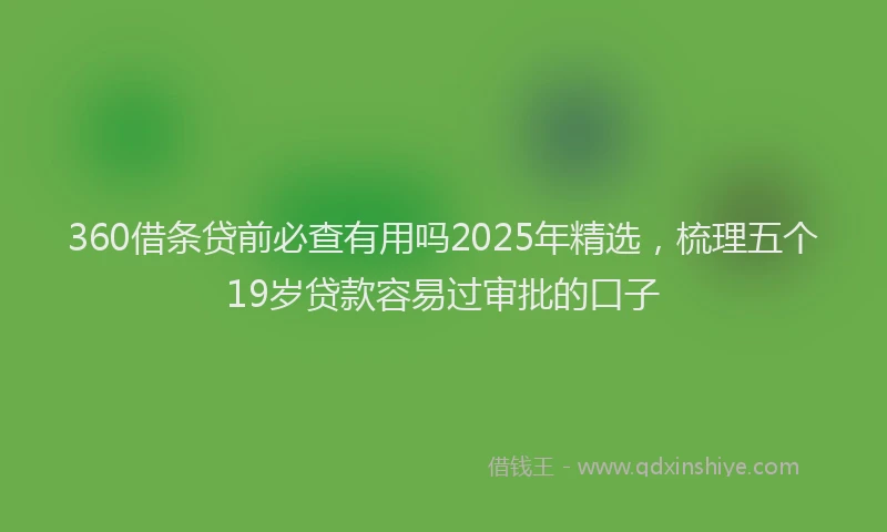 360借条贷前必查有用吗2025年精选，梳理五个19岁贷款容易过审批的口子