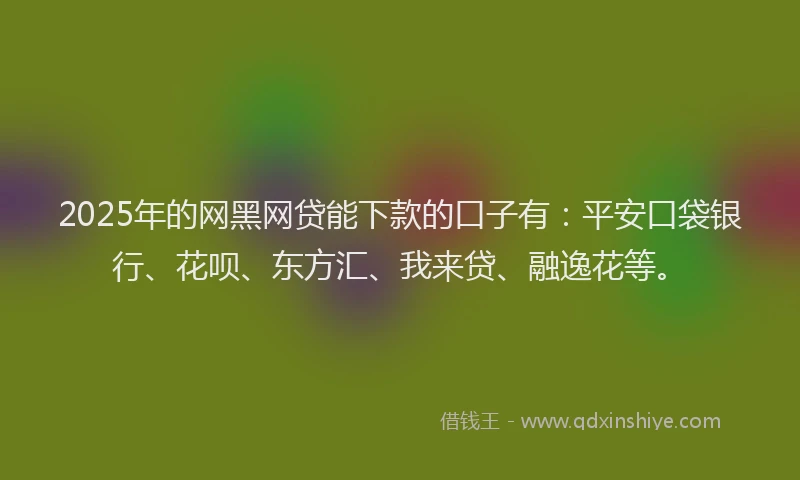 2025年的网黑网贷能下款的口子有：平安口袋银行、花呗、东方汇、我来贷、融逸花等。