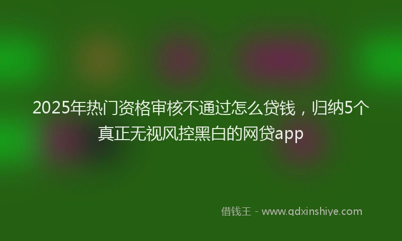 2025年热门资格审核不通过怎么贷钱，归纳5个真正无视风控黑白的网贷app