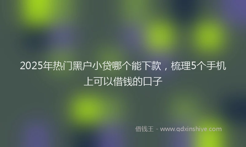 2025年热门黑户小贷哪个能下款，梳理5个手机上可以借钱的口子