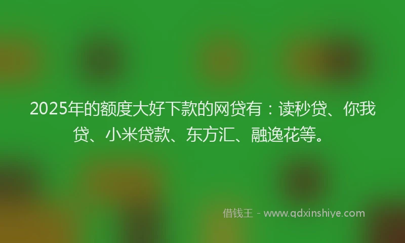 2025年的额度大好下款的网贷有：读秒贷、你我贷、小米贷款、东方汇、融逸花等。