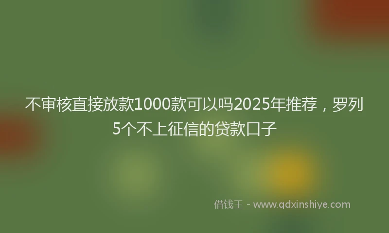 不审核直接放款1000款可以吗2025年推荐，罗列5个不上征信的贷款口子