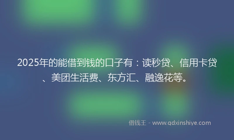 2025年的能借到钱的口子有：读秒贷、信用卡贷、美团生活费、东方汇、融逸花等。