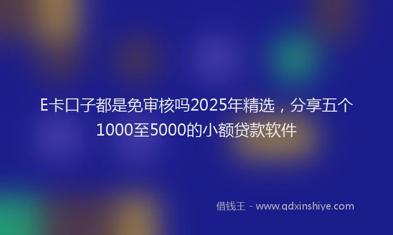 E卡口子都是免审核吗2025年精选，分享五个1000至5000的小额贷款软件