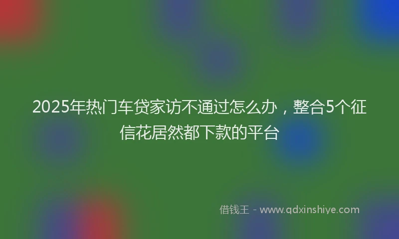2025年热门车贷家访不通过怎么办，整合5个征信花居然都下款的平台