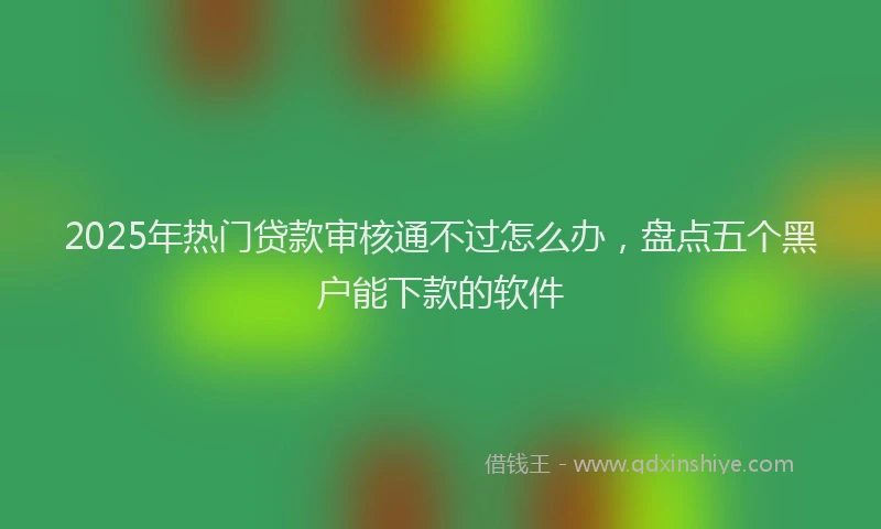 2025年热门贷款审核通不过怎么办，盘点五个黑户能下款的软件