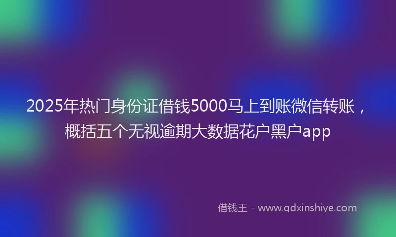 2025年热门身份证借钱5000马上到账微信转账，概括五个无视逾期大数据花户黑户app