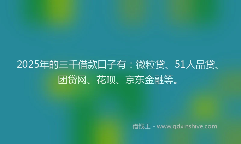 2025年的三千借款口子有：微粒贷、51人品贷、团贷网、花呗、京东金融等。
