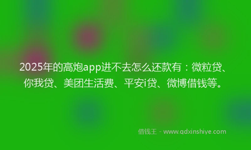2025年的高炮app进不去怎么还款有：微粒贷、你我贷、美团生活费、平安i贷、微博借钱等。