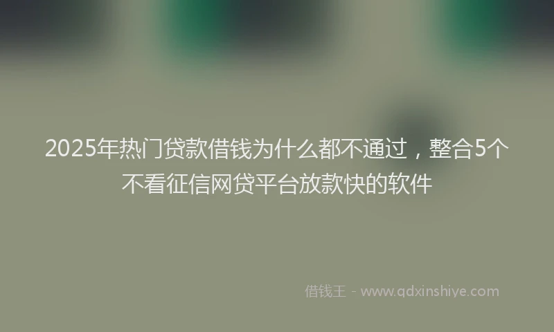 2025年热门贷款借钱为什么都不通过，整合5个不看征信网贷平台放款快的软件