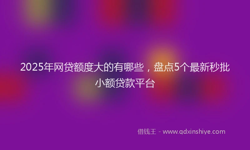 2025年网贷额度大的有哪些，盘点5个最新秒批小额贷款平台