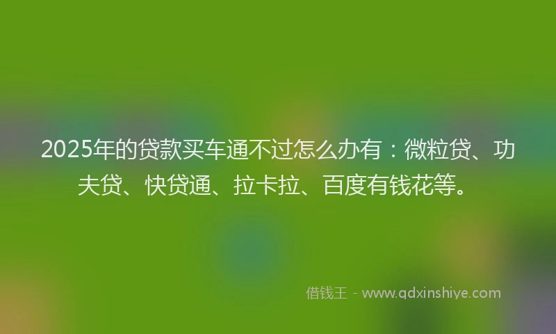 2025年的贷款买车通不过怎么办有：微粒贷、功夫贷、快贷通、拉卡拉、百度有钱花等。