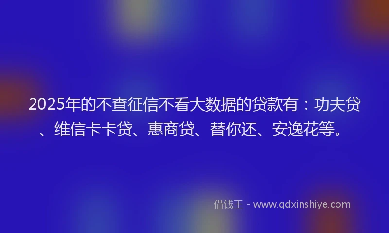 2025年的不查征信不看大数据的贷款有：功夫贷、维信卡卡贷、惠商贷、替你还、安逸花等。