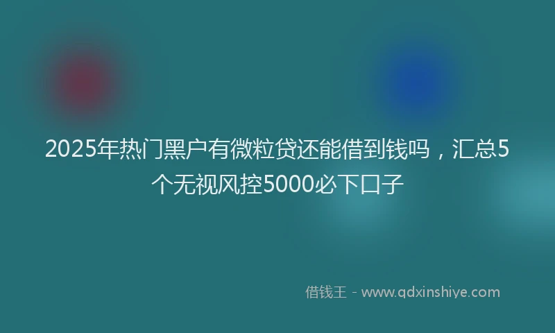 2025年热门黑户有微粒贷还能借到钱吗，汇总5个无视风控5000必下口子