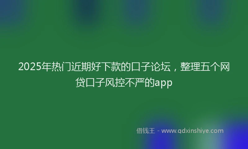 2025年热门近期好下款的口子论坛，整理五个网贷口子风控不严的app