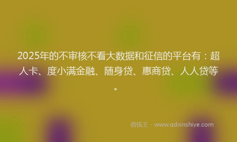 2025年的不审核不看大数据和征信的平台有：超人卡、度小满金融、随身贷、惠商贷、人人贷等。