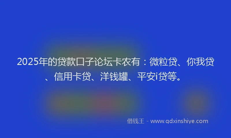 2025年的贷款口子论坛卡农有：微粒贷、你我贷、信用卡贷、洋钱罐、平安i贷等。