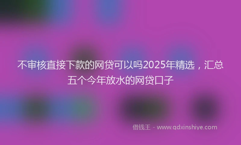 不审核直接下款的网贷可以吗2025年精选，汇总五个今年放水的网贷口子