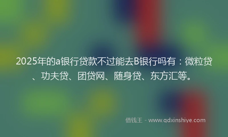 2025年的a银行贷款不过能去B银行吗有：微粒贷、功夫贷、团贷网、随身贷、东方汇等。