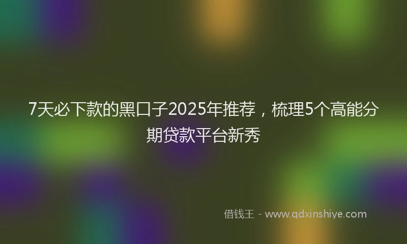 7天必下款的黑口子2025年推荐，梳理5个高能分期贷款平台新秀