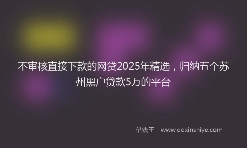 不审核直接下款的网贷2025年精选，归纳五个苏州黑户贷款5万的平台