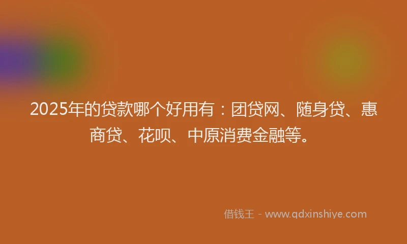 2025年的贷款哪个好用有：团贷网、随身贷、惠商贷、花呗、中原消费金融等。