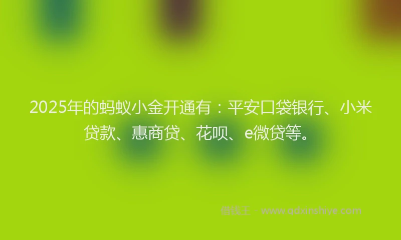 2025年的蚂蚁小金开通有：平安口袋银行、小米贷款、惠商贷、花呗、e微贷等。