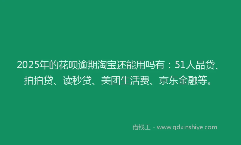 2025年的花呗逾期淘宝还能用吗有：51人品贷、拍拍贷、读秒贷、美团生活费、京东金融等。