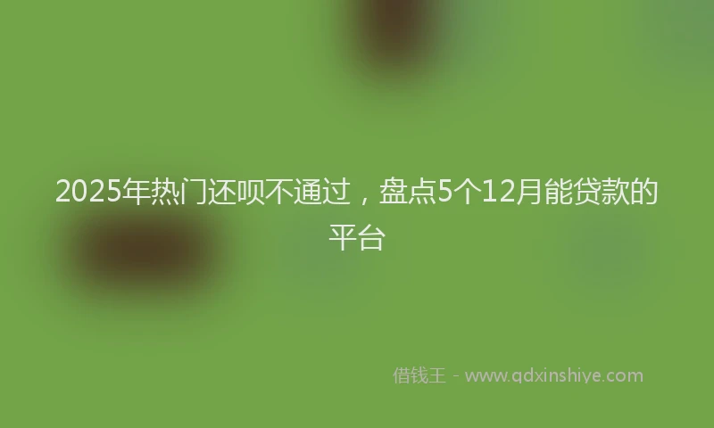 2025年热门还呗不通过，盘点5个12月能贷款的平台