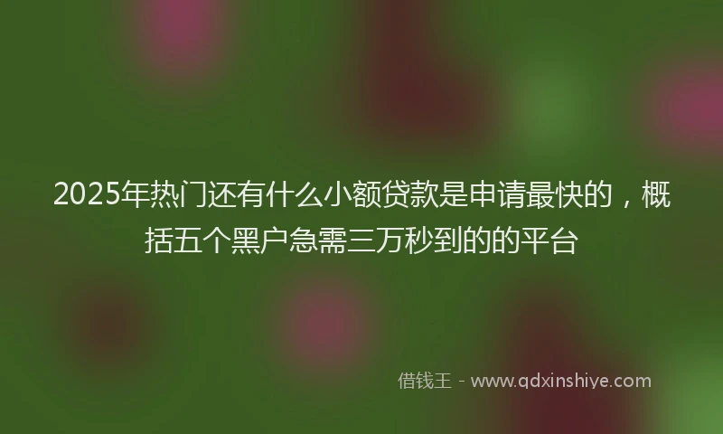 2025年热门还有什么小额贷款是申请最快的，概括五个黑户急需三万秒到的的平台
