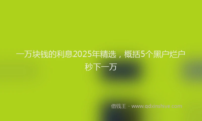 一万块钱的利息2025年精选，概括5个黑户烂户秒下一万