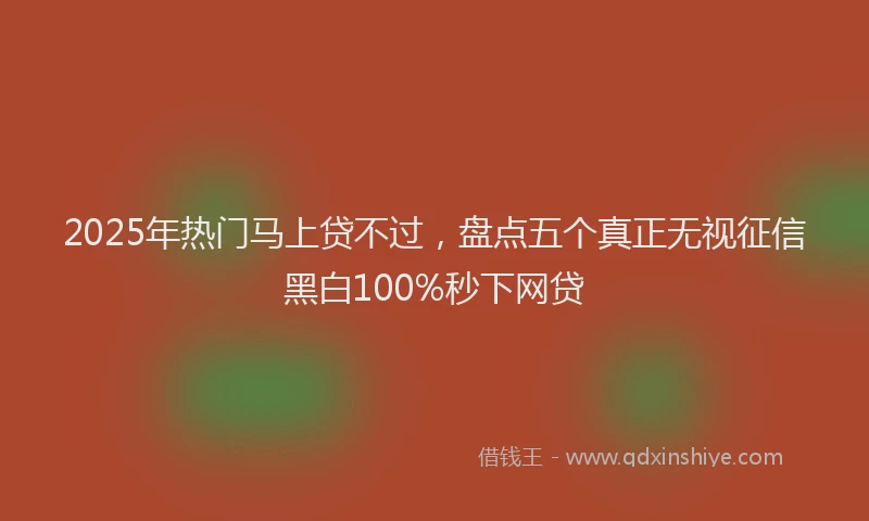 2025年热门马上贷不过，盘点五个真正无视征信黑白100%秒下网贷
