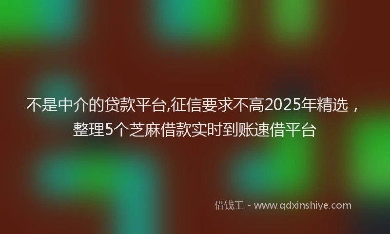 不是中介的贷款平台,征信要求不高2025年精选，整理5个芝麻借款实时到账速借平台