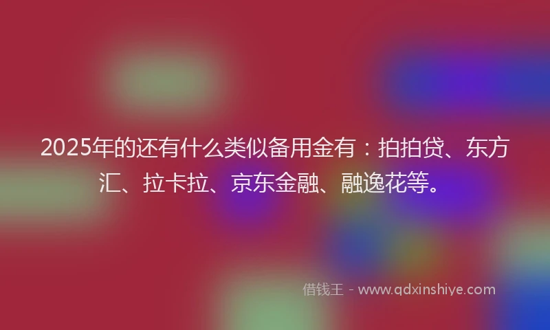 2025年的还有什么类似备用金有：拍拍贷、东方汇、拉卡拉、京东金融、融逸花等。