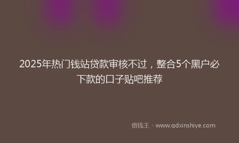 2025年热门钱站贷款审核不过，整合5个黑户必下款的口子贴吧推荐