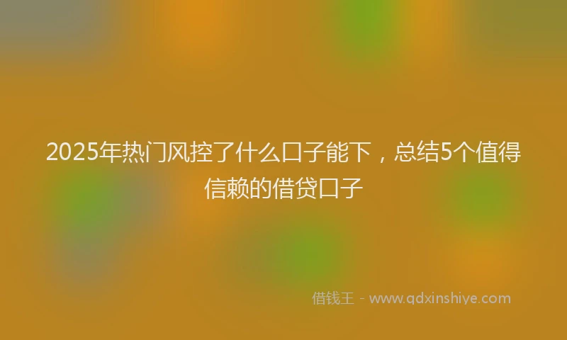 2025年热门风控了什么口子能下，总结5个值得信赖的借贷口子