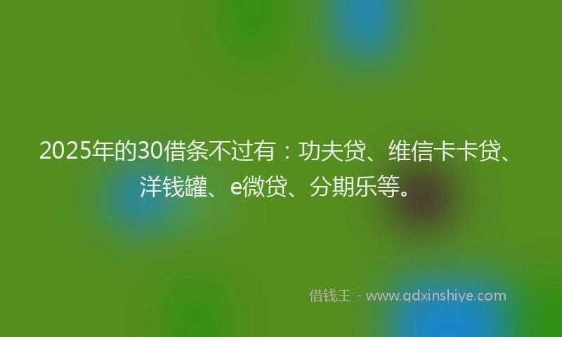 2025年的30借条不过有：功夫贷、维信卡卡贷、洋钱罐、e微贷、分期乐等。